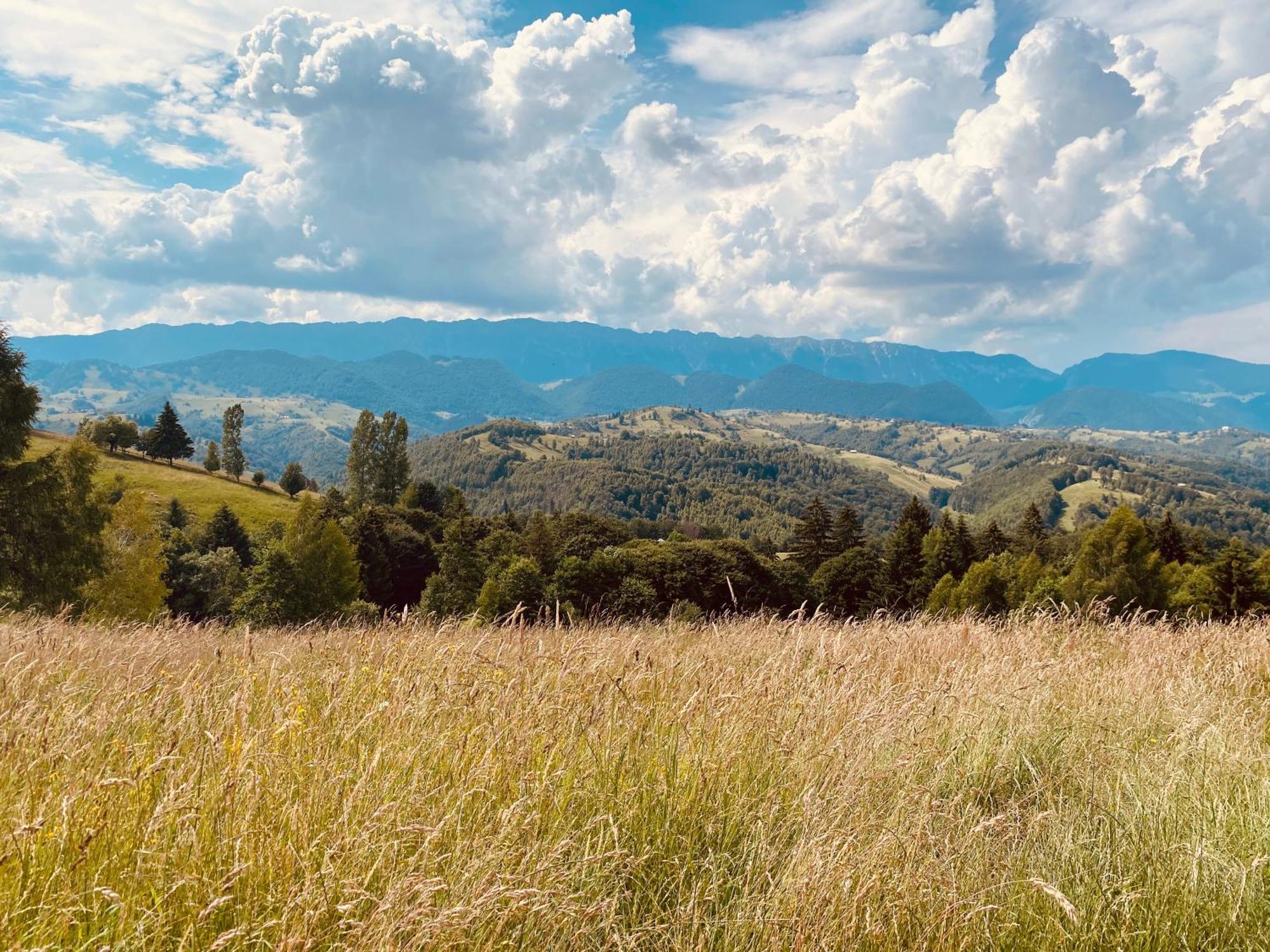 Amont Chalet Peştera Εξωτερικό φωτογραφία